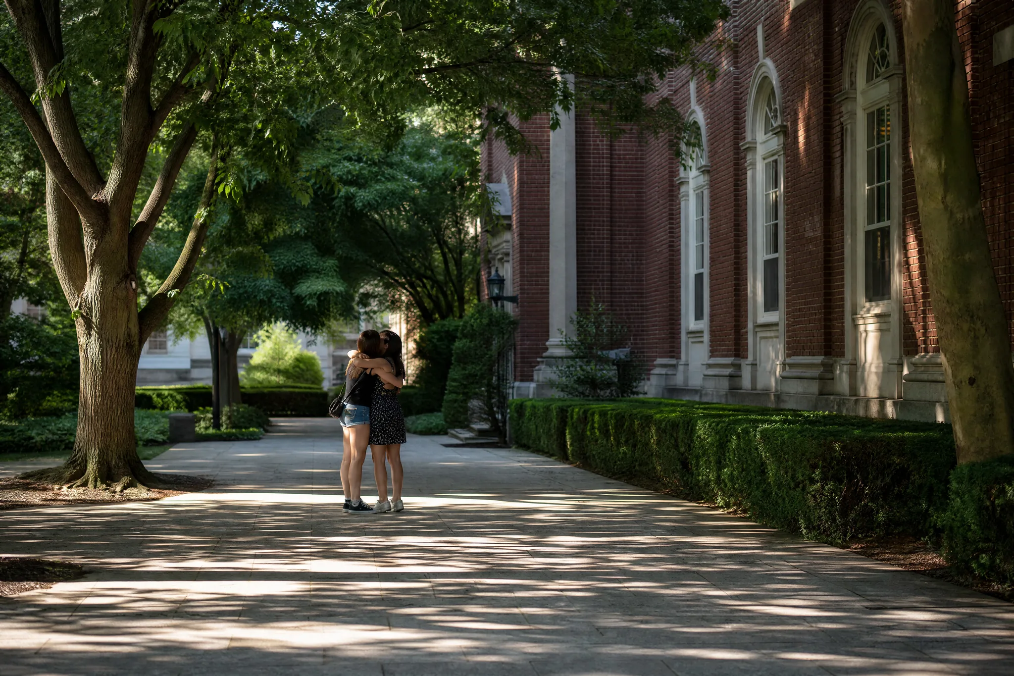 AI Hug Video Generator: The Walkway Setting Wide shot of a shady tree-lined walkway and hedges before a red-brick building with arched windows, a hugging pair far off